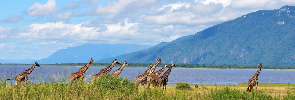 lake manyara