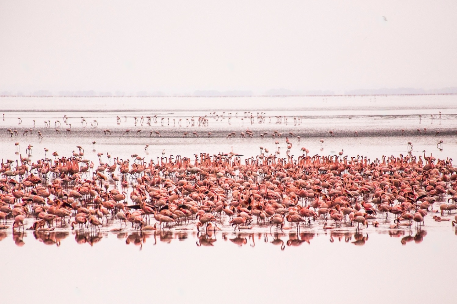 lakemanyara4